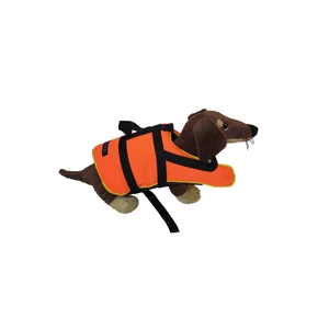 Lázár kutya mentőmellény