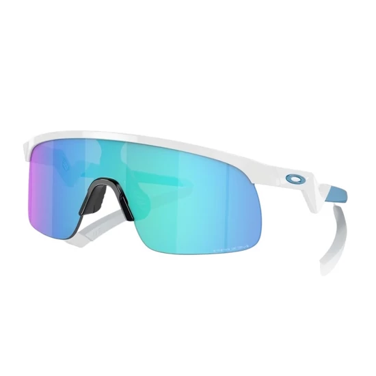 Oakley Resistor Sunglasses